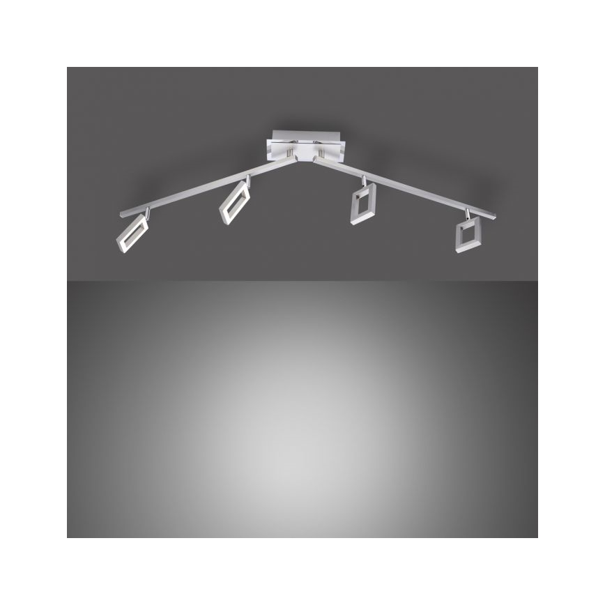 Paul Neuhaus 6960-55 - Dimbare LED Spot INIGO 4xLED/4,2W/230V