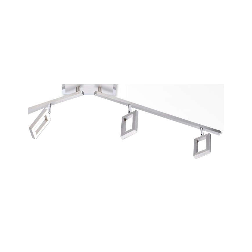 Paul Neuhaus 6960-55 - Dimbare LED Spot INIGO 4xLED/4,2W/230V