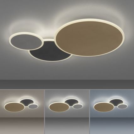 Paul Neuhaus 8007-70 - LED dimbare plafondlamp Q-PIATO LED/35W/230V 2700-5000K Wi-Fi + afstandsbediening
