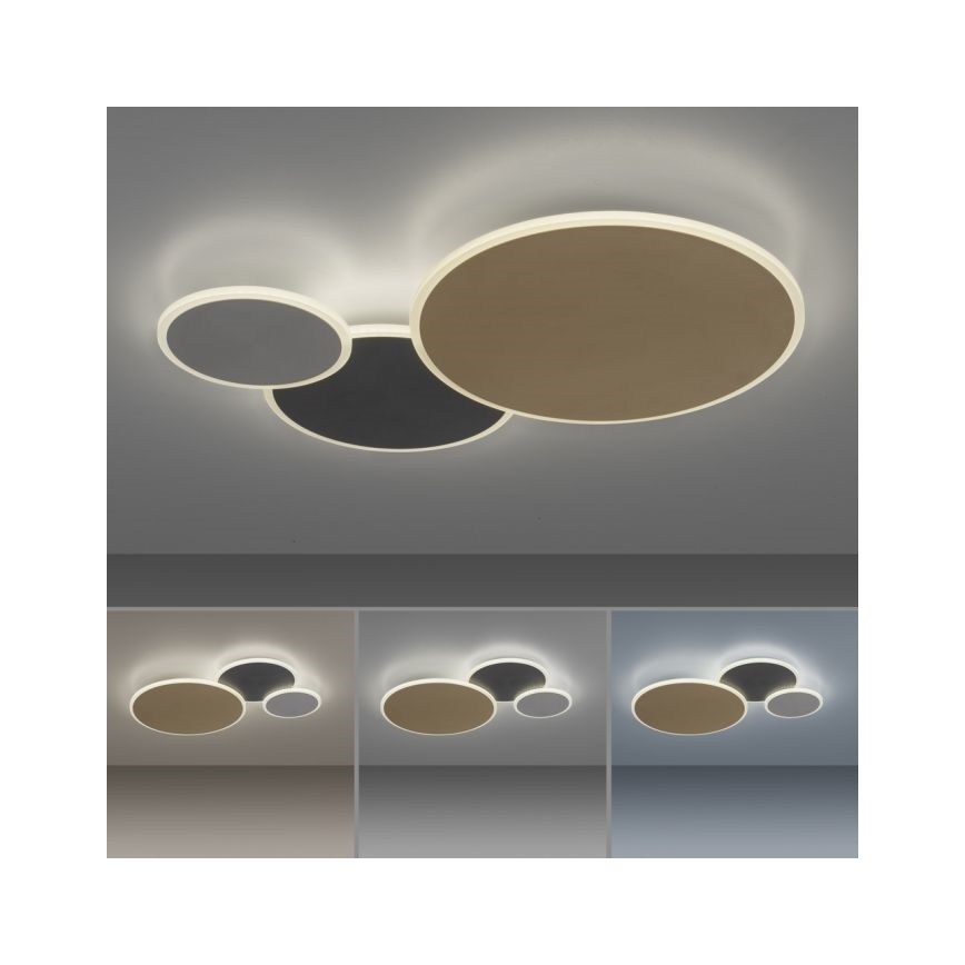 Paul Neuhaus 8007-70 - LED dimbare plafondlamp Q-PIATO LED/35W/230V 2700-5000K Wi-Fi + afstandsbediening