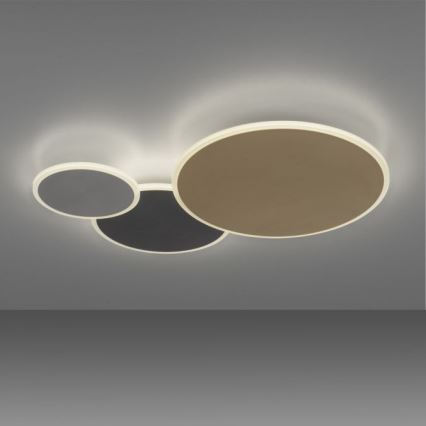 Paul Neuhaus 8007-70 - LED dimbare plafondlamp Q-PIATO LED/35W/230V 2700-5000K Wi-Fi + afstandsbediening