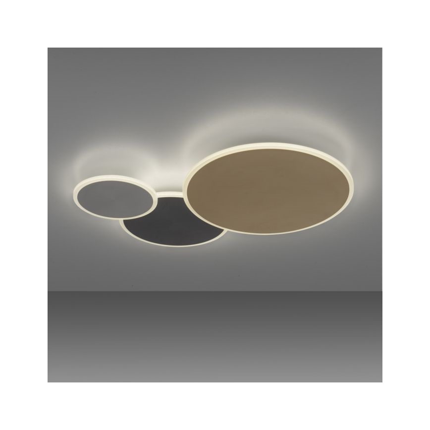 Paul Neuhaus 8007-70 - LED dimbare plafondlamp Q-PIATO LED/35W/230V 2700-5000K Wi-Fi + afstandsbediening