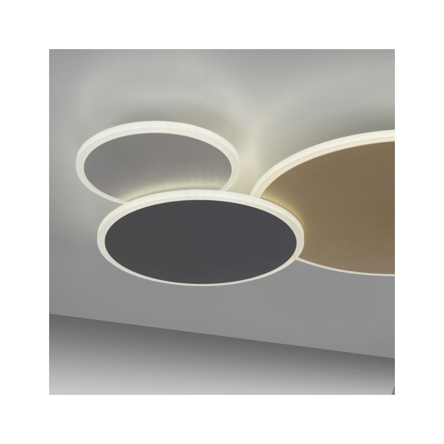 Paul Neuhaus 8007-70 - LED dimbare plafondlamp Q-PIATO LED/35W/230V 2700-5000K Wi-Fi + afstandsbediening