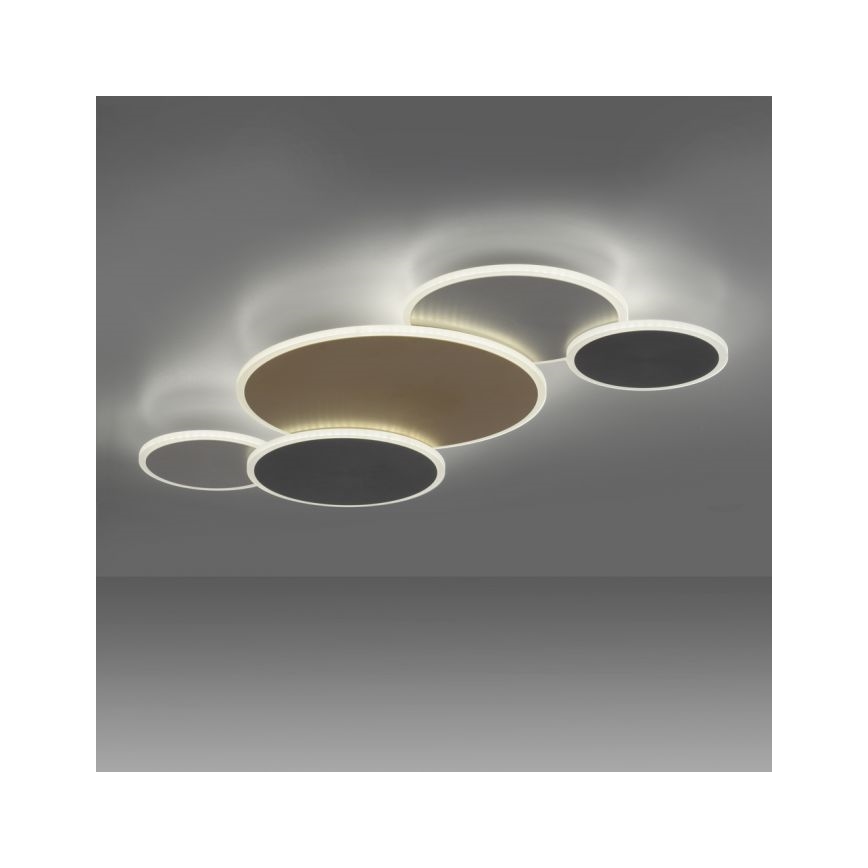 Paul Neuhaus 8008-70 - Dimbare LED plafondlamp Q-PIATO LED/49W/230V 2700-5000K Wi-Fi + afstandsbediening