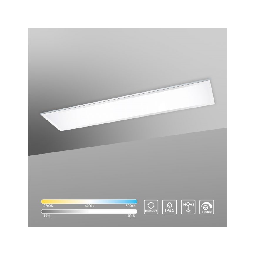 Paul Neuhaus 8112-17 - Dimbaar LED Paneel voor Oppervlak Montage FLAG LED/35W/230V
