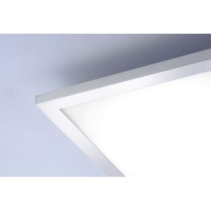 Paul Neuhaus 8112-17 - Dimbaar LED Paneel voor Oppervlak Montage FLAG LED/35W/230V