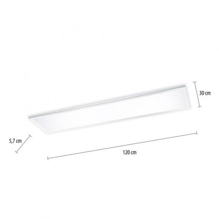Paul Neuhaus 8112-17 - Dimbaar LED Paneel voor Oppervlak Montage FLAG LED/35W/230V
