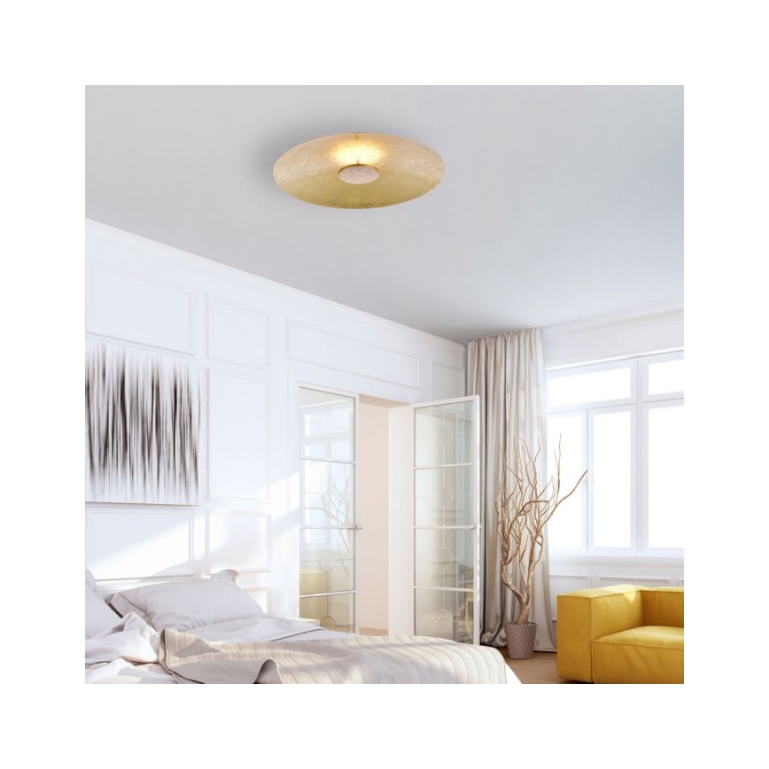 Paul Neuhaus 8132-12 - Dimbare LED Plafond Lamp PLATE LED/25W/230V