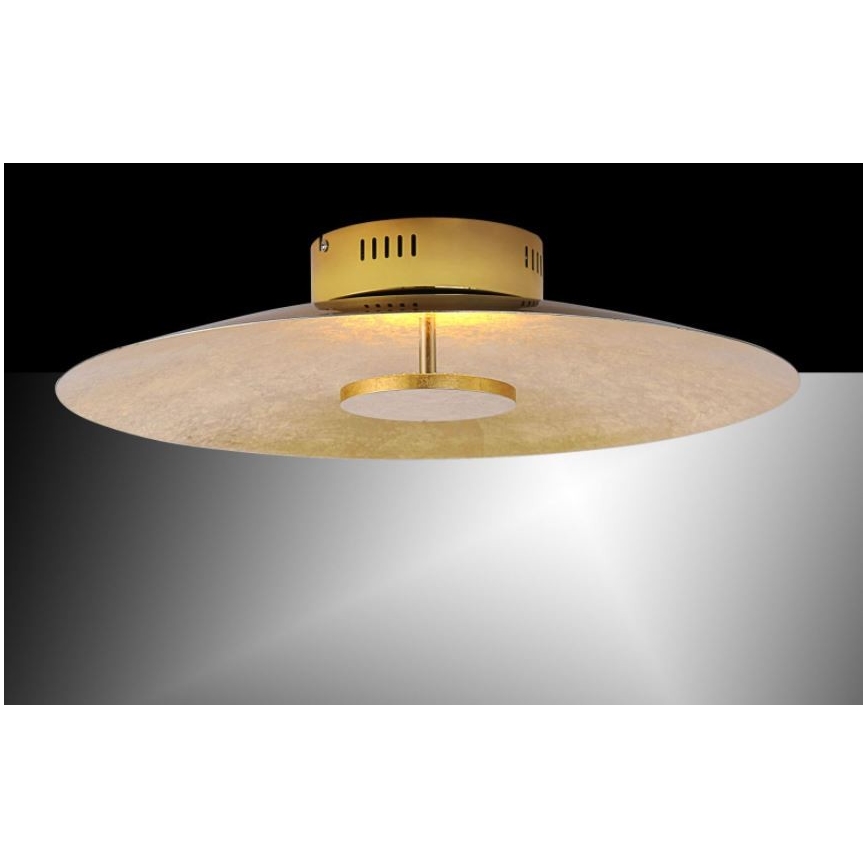 Paul Neuhaus 8132-12 - Dimbare LED Plafond Lamp PLATE LED/25W/230V
