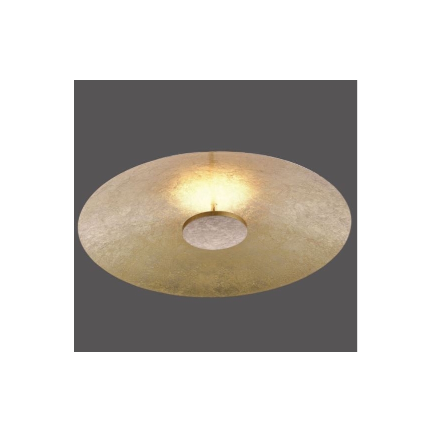 Paul Neuhaus 8132-12 - Dimbare LED Plafond Lamp PLATE LED/25W/230V