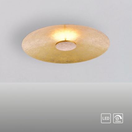 Paul Neuhaus 8132-12 - Dimbare LED Plafond Lamp PLATE LED/25W/230V