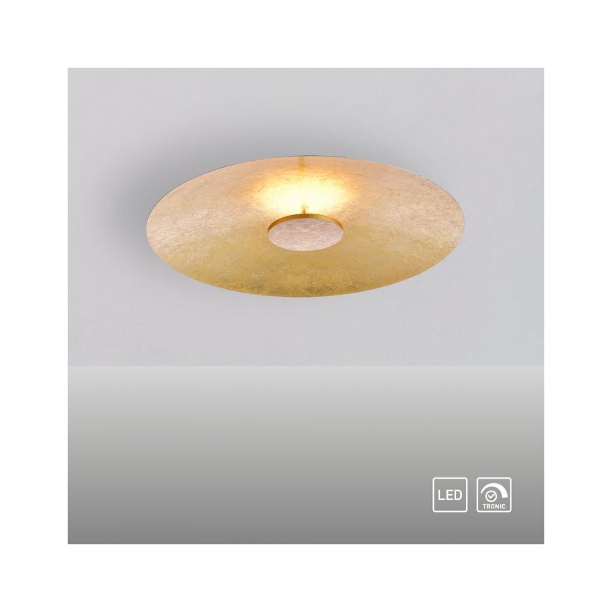 Paul Neuhaus 8132-12 - Dimbare LED Plafond Lamp PLATE LED/25W/230V