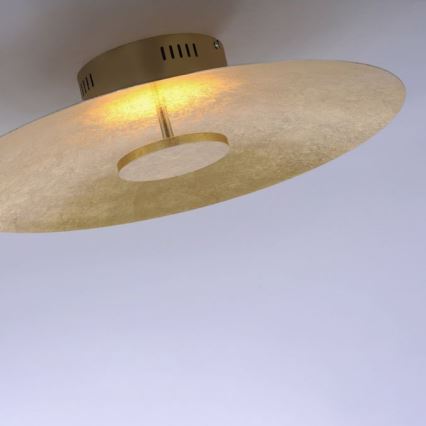 Paul Neuhaus 8132-12 - Dimbare LED Plafond Lamp PLATE LED/25W/230V
