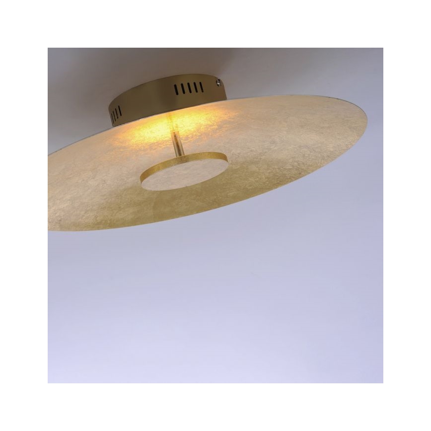 Paul Neuhaus 8132-12 - Dimbare LED Plafond Lamp PLATE LED/25W/230V