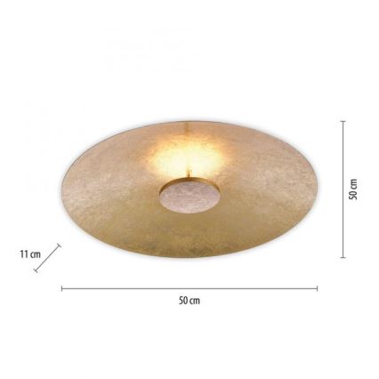 Paul Neuhaus 8132-12 - Dimbare LED Plafond Lamp PLATE LED/25W/230V