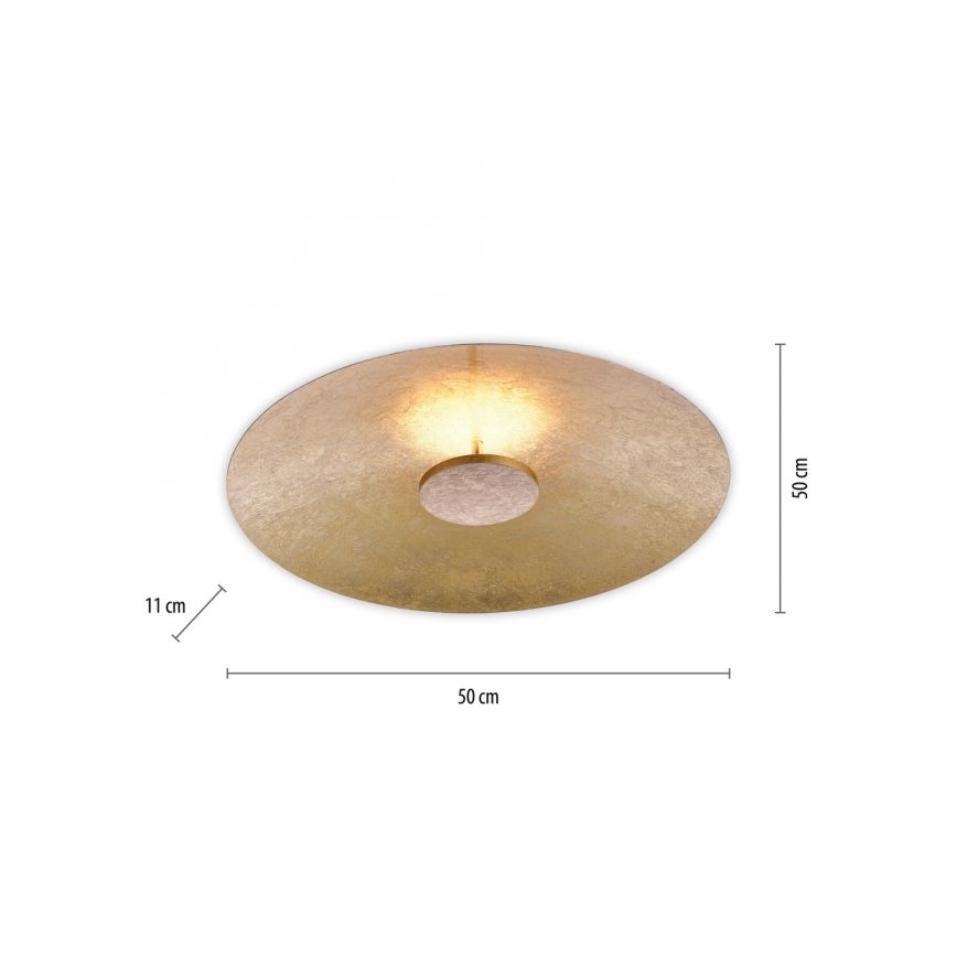 Paul Neuhaus 8132-12 - Dimbare LED Plafond Lamp PLATE LED/25W/230V