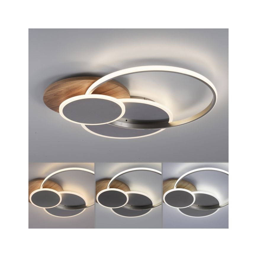 Paul Neuhaus 8328-79 - Dimbare LED plafondlamp PALMA LED/50W/230V 2700-5000K grenen + afstandsbediening