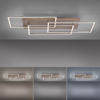 Paul Neuhaus 8330-79 - Dimbare LED bevestigde hanglamp PALMA 3xLED/12W/230V grenen + afstandsbediening