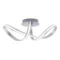 Paul Neuhaus 8331-55 - LED Plafondlamp dimbaar MELINDA 1xLED/30W/230V