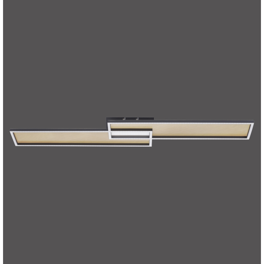 Paul Neuhaus 8371-18 - LED Plafondlamp dimbaar AMARA LED/40W/230V + AB