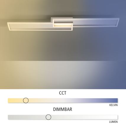 Paul Neuhaus 8371-55 - LED Plafondlamp dimbaar AMARA LED/40W/230V + AB