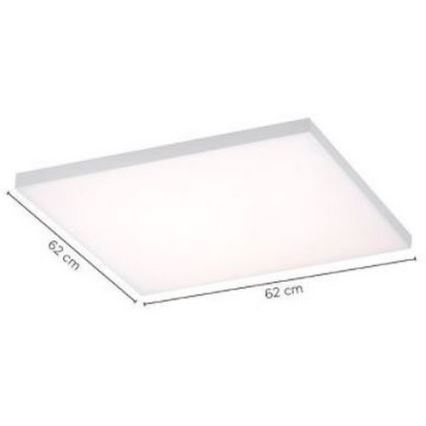 Paul Neuhaus 8492-16 - Dimbaar LED Paneel voor Oppervlak Montage FRAMELESS LED/35W/230V + afstandsbediening