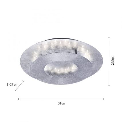 Paul Neuhaus 9011-21 - LED Plafond Lamp NEVIS LED/6W/230V zilver