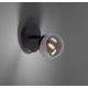Paul Neuhaus 9013-18 - LED Wand Spot WIDOW 1xG9/3W/230V