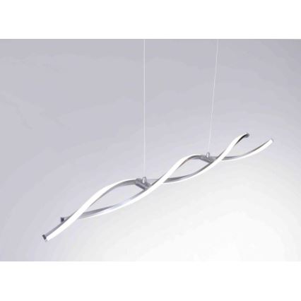 Paul Neuhaus 9142-55 - Dimbare LED Hanglamp aan een koord POLINA 2xLED/10,2W/230V