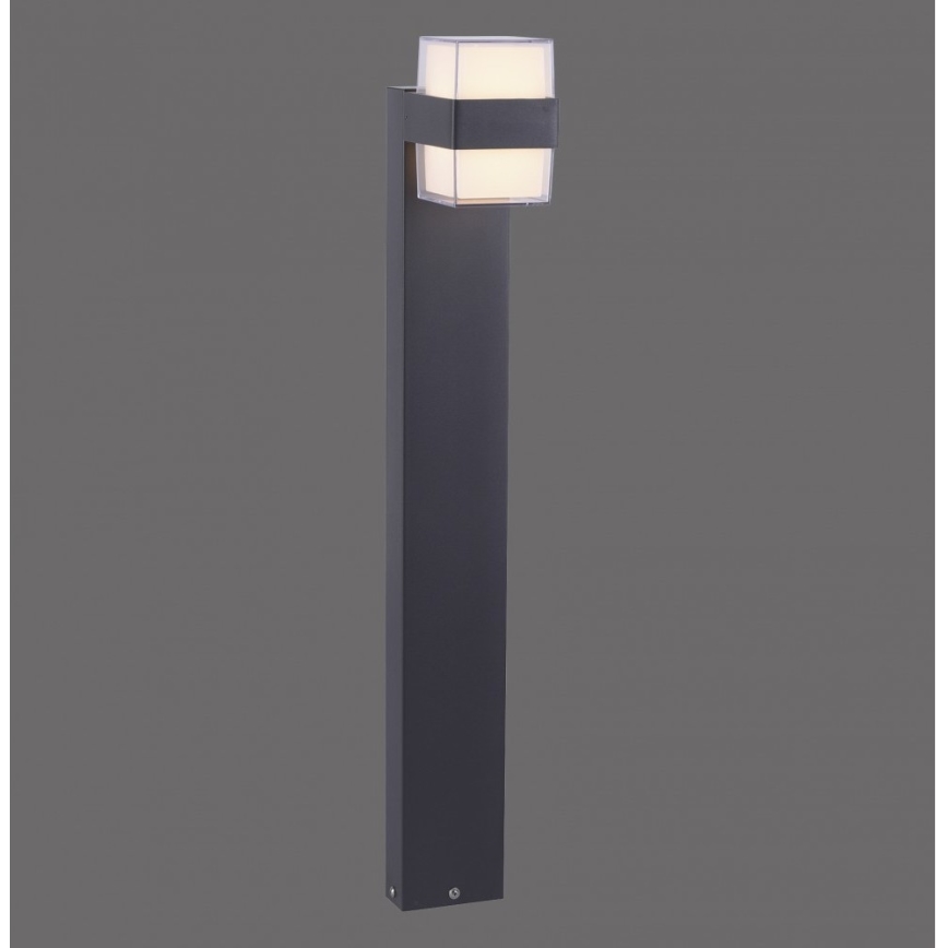 Paul Neuhaus 9481-13 - LED Lamp voor Buiten CARA LED/8W/230V IP44