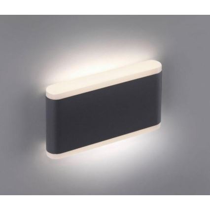 Paul Neuhaus 9483-13 - LED Wandlamp voor buiten ELSA 2xLED/5,4W/230V IP65