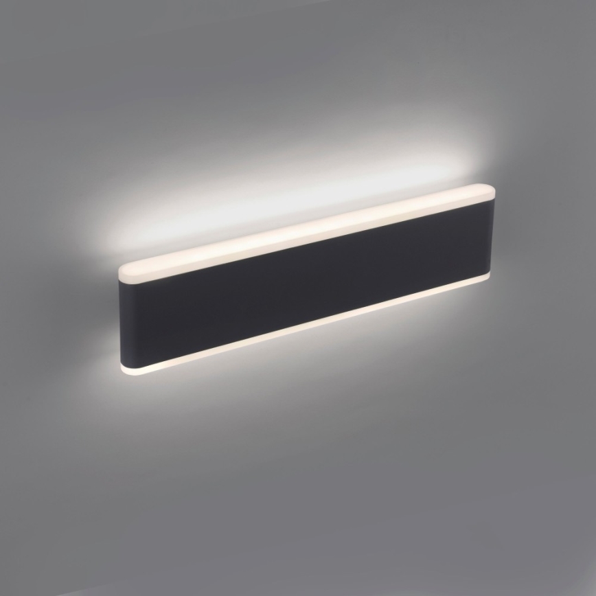 Paul Neuhaus 9484-13 - Dimbare LED Wand Lamp voor Buiten ELSA 2xLED/9W/230V IP65