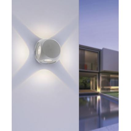 Paul Neuhaus 9485-21 - LED Wand Lamp voor Buiten CARLO 4xLED/0,8W/230V IP54