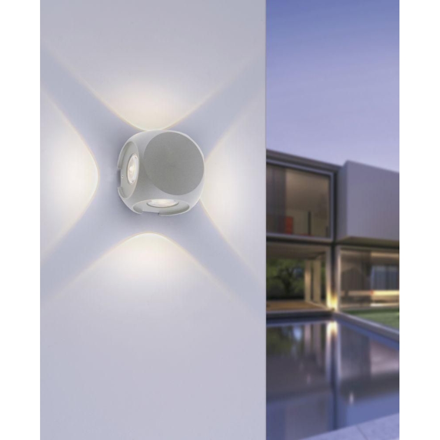 Paul Neuhaus 9485-21 - LED Wand Lamp voor Buiten CARLO 4xLED/0,8W/230V IP54