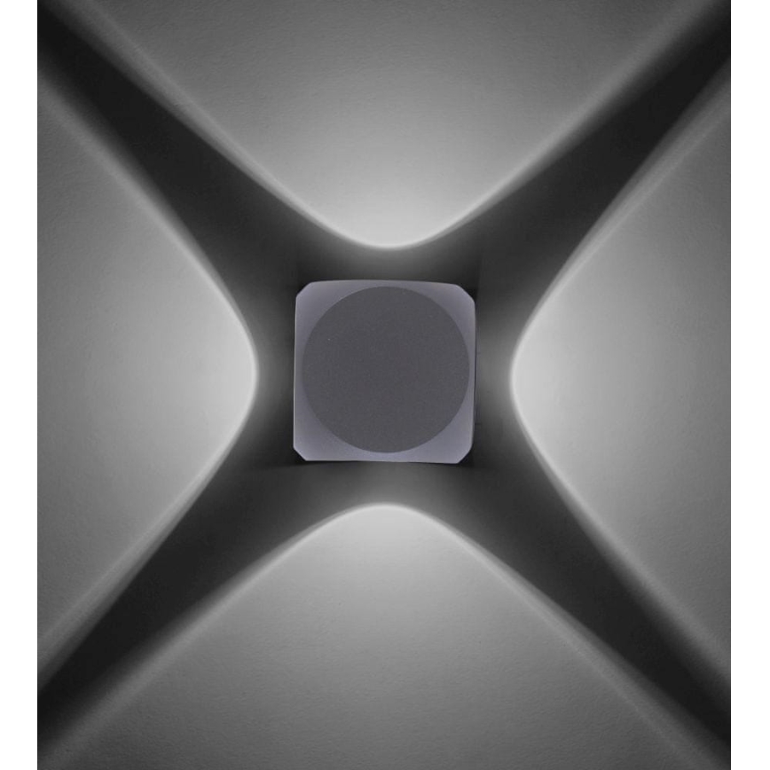 Paul Neuhaus 9485-21 - LED Wand Lamp voor Buiten CARLO 4xLED/0,8W/230V IP54