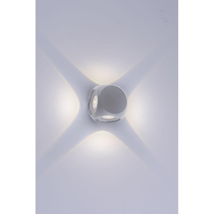 Paul Neuhaus 9485-21 - LED Wand Lamp voor Buiten CARLO 4xLED/0,8W/230V IP54