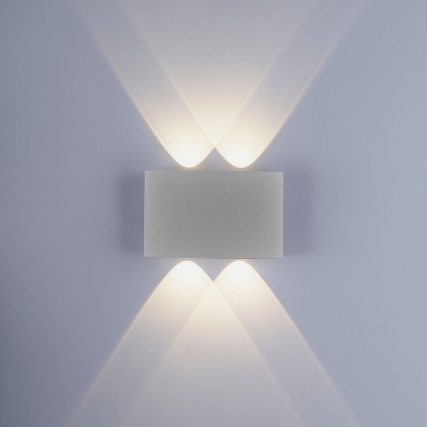 Paul Neuhaus 9487-21 - LED Wand Lamp voor Buiten CARLO 4xLED/0,8W/230V IP54