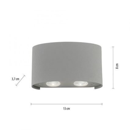 Paul Neuhaus 9487-21 - LED Wand Lamp voor Buiten CARLO 4xLED/0,8W/230V IP54