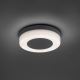 Paul Neuhaus 9490-13 - LED Lamp voor Buiten FABIAN LED/12,6W/230V IP54