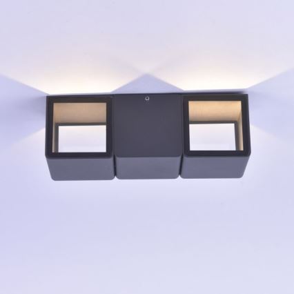 Paul Neuhaus 9658-13 - LED Wand Lamp voor Buiten MARCEL 2xLED/4W/230V IP54