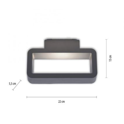 Paul Neuhaus 9668-13 - LED Wand Lamp voor Buiten HENDRIK LED/5,2W/230V IP54