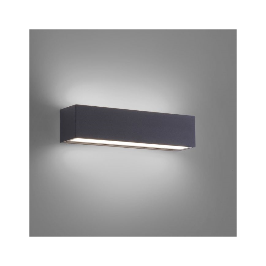 Paul Neuhaus 9675-13 - LED Wand Lamp voor Buiten ROBERT 2xLED/9W/230V IP65