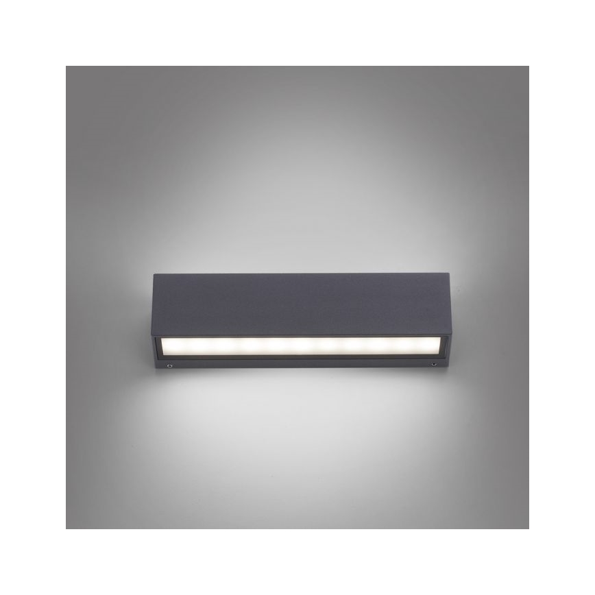 Paul Neuhaus 9675-13 - LED Wand Lamp voor Buiten ROBERT 2xLED/9W/230V IP65