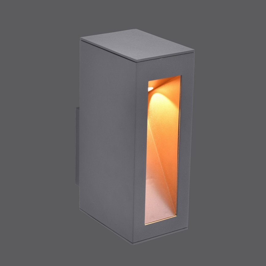 Paul Neuhaus 9693-13 - LED Wandlamp voor buiten JUSTIN LED/7W/230V IP44