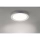 Paul Neuhaus - LED RGB Badkamer plafondlamp + afstandsbediening LED/28W/230V IP44 + AB