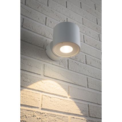 Paulmann 18007 - LED/5W IP44 Buiten wandlamp FLAME 230V