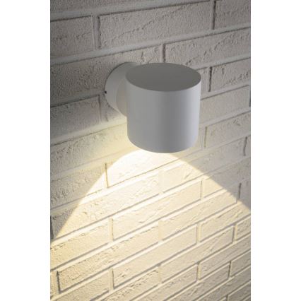 Paulmann 18007 - LED/5W IP44 Buiten wandlamp FLAME 230V