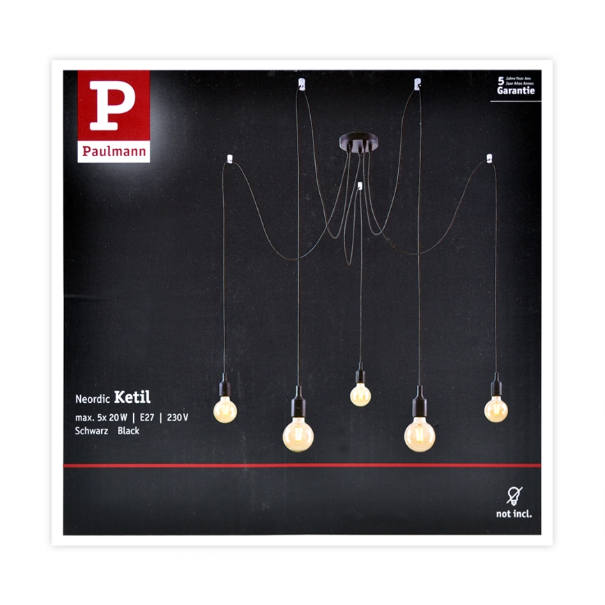 Paulmann 50389 - Hanglamp aan een koord NEORDIC 5xE27/20W/230V spin