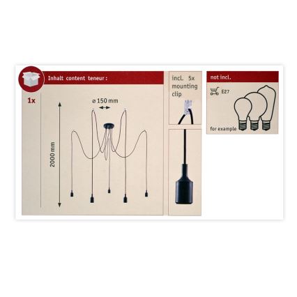 Paulmann 50389 - Hanglamp aan een koord NEORDIC 5xE27/20W/230V spin
