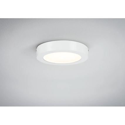 Paulmann 70642 - LED/12,5W Plafondlamp LUNAR 230V diameter 22,5 cm wit
